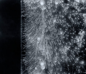 Abstract background with crystals forming