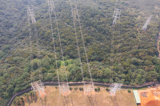 High-Voltage Transmission Line Aerial View Forest