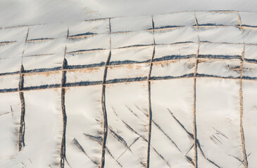 Aerial View of Wind Resistant Planting on a Sandy Beach