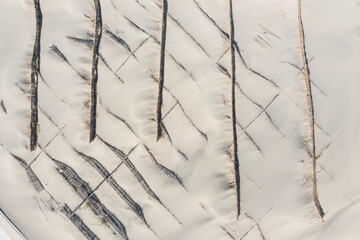 Aerial View of Beach with Windbreak Plants for Erosion Control