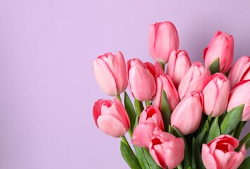 Obraz premium Beautiful fresh tulips on color background