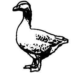 Vintage Stamps 2_Goose