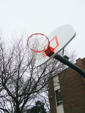 Junior High School Basketball Net 