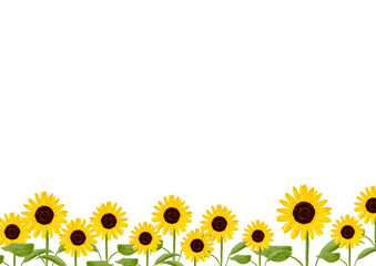 水彩で描いたひまわりの花のフレームイラスト