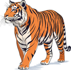 Dynamic Tiger Vector Illustration  Wild Animal Art and Graphic Design