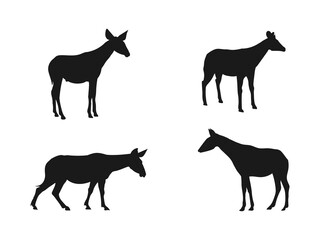 Okapi animal silhouette vector art and illustration. Okapi logo design, okapi black logo icon design. Silhouette of an Okapi in Black and White. Vector illustration isolated on a white background.
