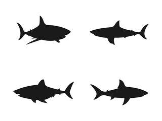 Fototapeta premium Shark silhouette flat illustration. Silhouette of a predatory fish shark vector illustration. Vector-graphic illustration of a shark in profile view. Vector illustration isolated on a white background