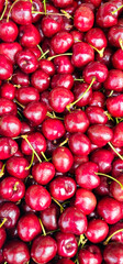 A pile of ripe red cherries with green stems closely packed together; the cherries vary in size and shape, with some showing slight imperfections;