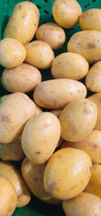 Freshly harvested yellow potatoes with smooth skin and small brown spots lie in a green plastic crate; some have minor surface imperfections;