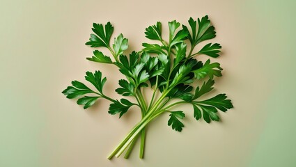 Fresh green parsley leaves arranged in a cluster on a soft pastel beige background showcasing vibrant green hues and delicate textures.
