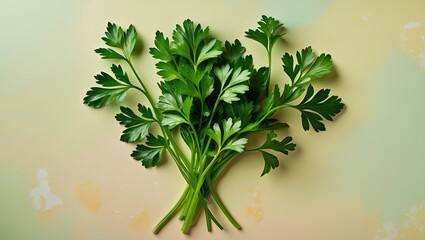 Fresh green parsley leaves arranged neatly on a soft pastel background with hints of yellow and blue creating a calm culinary atmosphere.