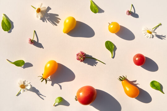 Variety of tomatoes and flowers making natural pattern under sunlight.