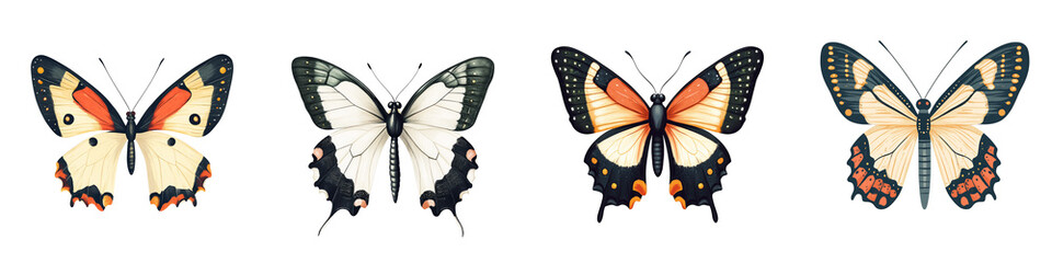 Obraz premium Colorful butterfly illustrations in diverse styles on transparent background