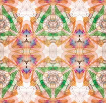 Psychedelic pattern inside kaleidoscope