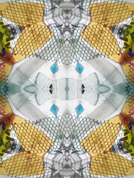 Symmetry inside an antique kaleidoscope for kids