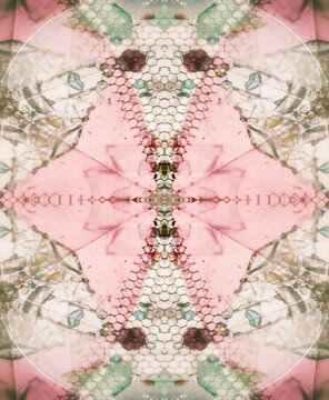 Mirrored image inside ancient Kaleidoscope
