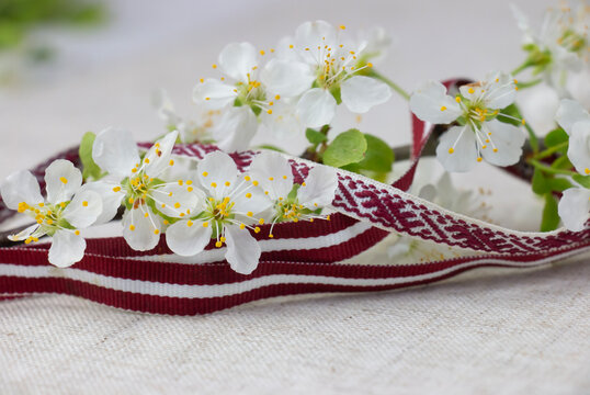 May 4, Independence Day of Latvia, greeting design with flowers and Latvian flag. Greeting card or banner.