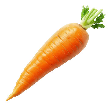 recommend clip art: Single carrot without leafs isolated on transparent background. PNG with clipping path