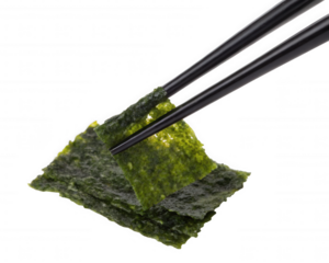 A close-up of a piece of seaweed being held by chopsticks, showcasing its texture and vibrant green color.