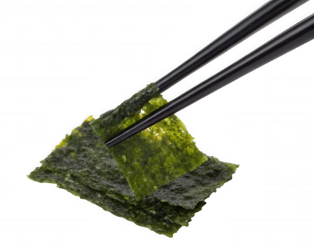 A close-up of a piece of seaweed being held by chopsticks, showcasing its texture and vibrant green color.