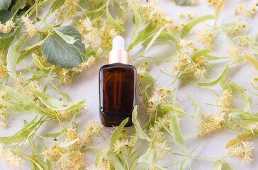 Linden flowers and essential oil used in hair treatment concept, herbal medicine