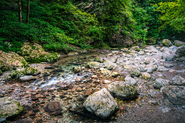 Immersion in the greenery. Kobarid natural waterfalls of Kozjak. Wonder of nature