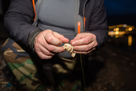 Angler prepares bait for catching crabs 
