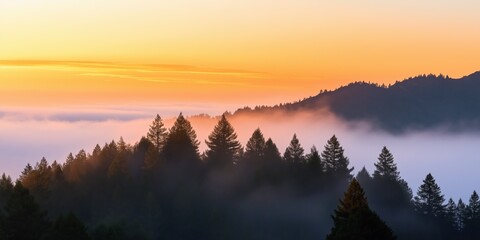 The sky is orange and the trees are covered in fog. The scene is peaceful and serene