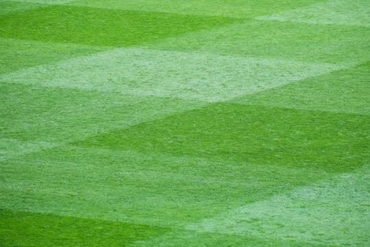 Lush green grass on a well-maintained sports field