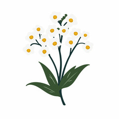 Simple flat 2D icon alyssum branch with leaves isolated on transparent background, vector, vector, flat design, animation design, simple flat 2D icon, clipart