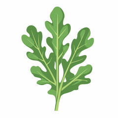 Simple flat 2D icon arugula leaves isolated on transparent background, vector, vector, flat design, animation design, simple flat 2D icon, clipart