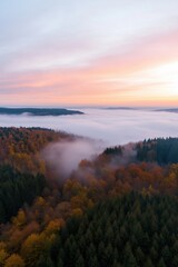 Obraz premium The sky is a beautiful orange and pink color. The clouds are white and fluffy. The trees are green and covered in leaves. The mist is covering the forest