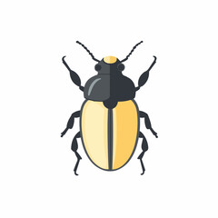 A Simple flat 2D icon black and yellow beetle insect isolated on transparent background, vector, vector, flat design, animation design, simple flat 2D icon, clipart