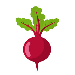My Simple flat 2D icon beetroot with green leaf isolated on transparent background, vector, vector, flat design, animation design, simple flat 2D icon, clipart