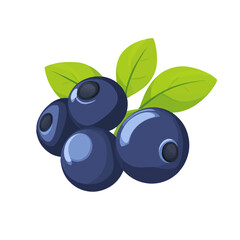 My Simple flat 2D icon blue bilberry branch isolated on transparent background, vector, vector, flat design, animation design, simple flat 2D icon, clipart