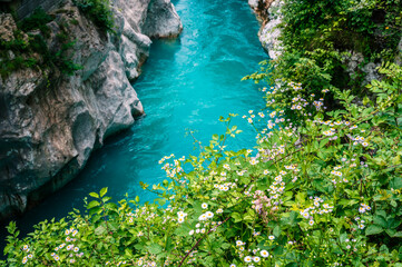 The Soča River in Kobarid. Immersion in nature.