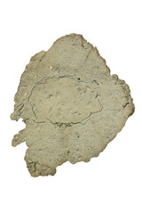 Cracked Plaster Fragment with Rough Texture Isolated on Transparent Background
