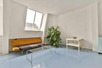 A spacious modern interior showcasing a cozy orange sofa, a glass coffee table, and a vibrant green plant, all bathed in natural light from large windows.