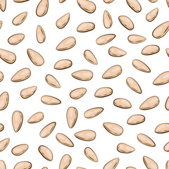Nuts seamless pattern. Pine nuts background. Organic food concept. Nuts pattern for fabric, packaging, coffee and bakery shops. Hand Drawn illustration