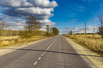road in the forest