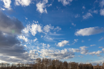 clouds over the forest