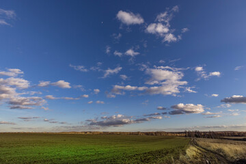 Obraz premium rural landscape with blue sky and clouds