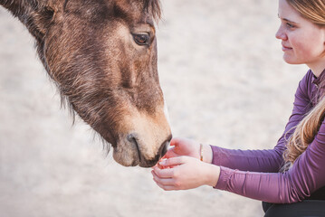 Pferdeliebe / Ponyliebe