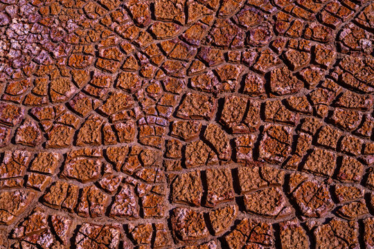 Cracked Earth Texture in Warm Tones
