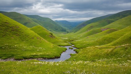 Naklejka premium Serene Green Valley with Winding River