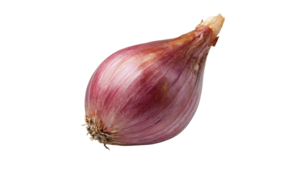 Gourmet shallot adds depth to culinary creations with its aromatic charm in the kitchen