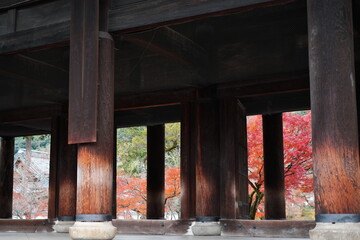 南禅寺の山門の紅葉その2