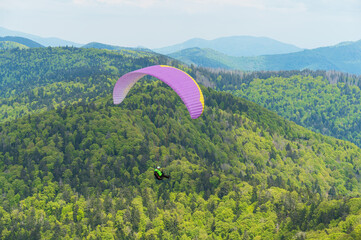 Ballon d’Alsace / Elsass / Vogesen / Frankreich 