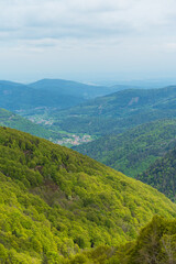 Ballon d’Alsace / Elsass / Vogesen / Frankreich 