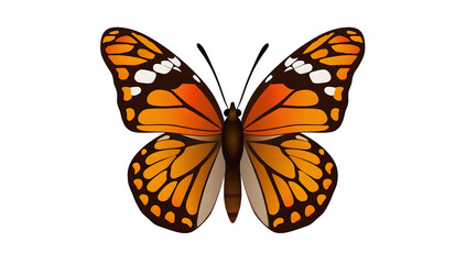 A vibrant orange butterfly with dark brown markings and white spots on its wings.